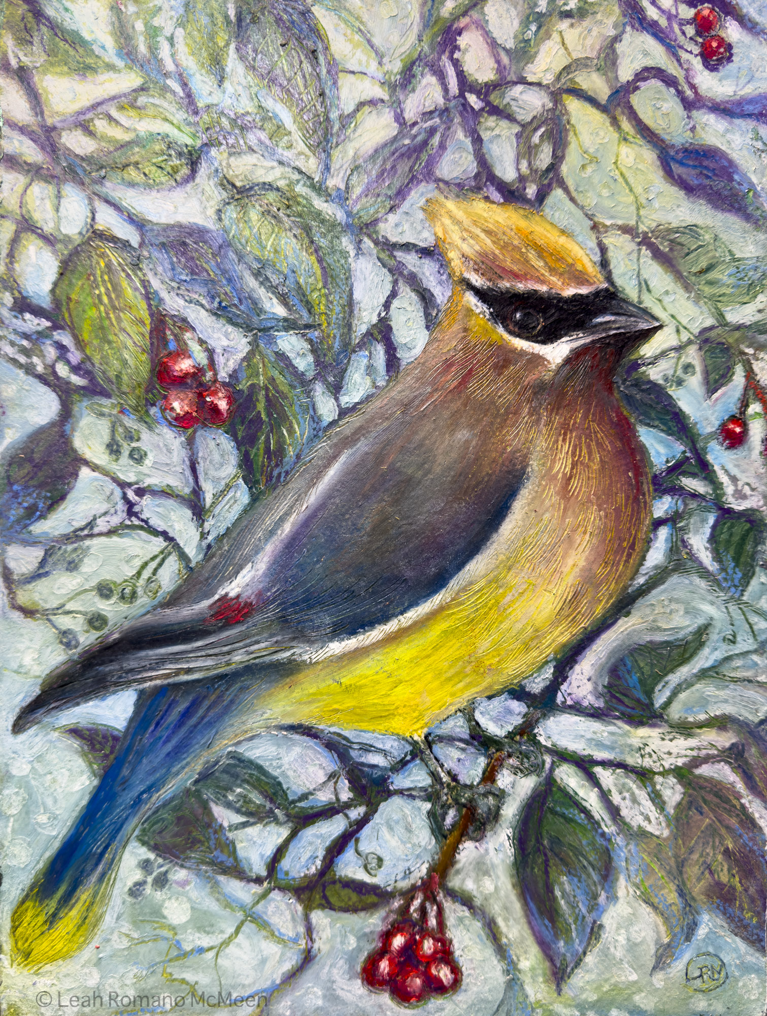 Cedar Waxwing Oil Pastel